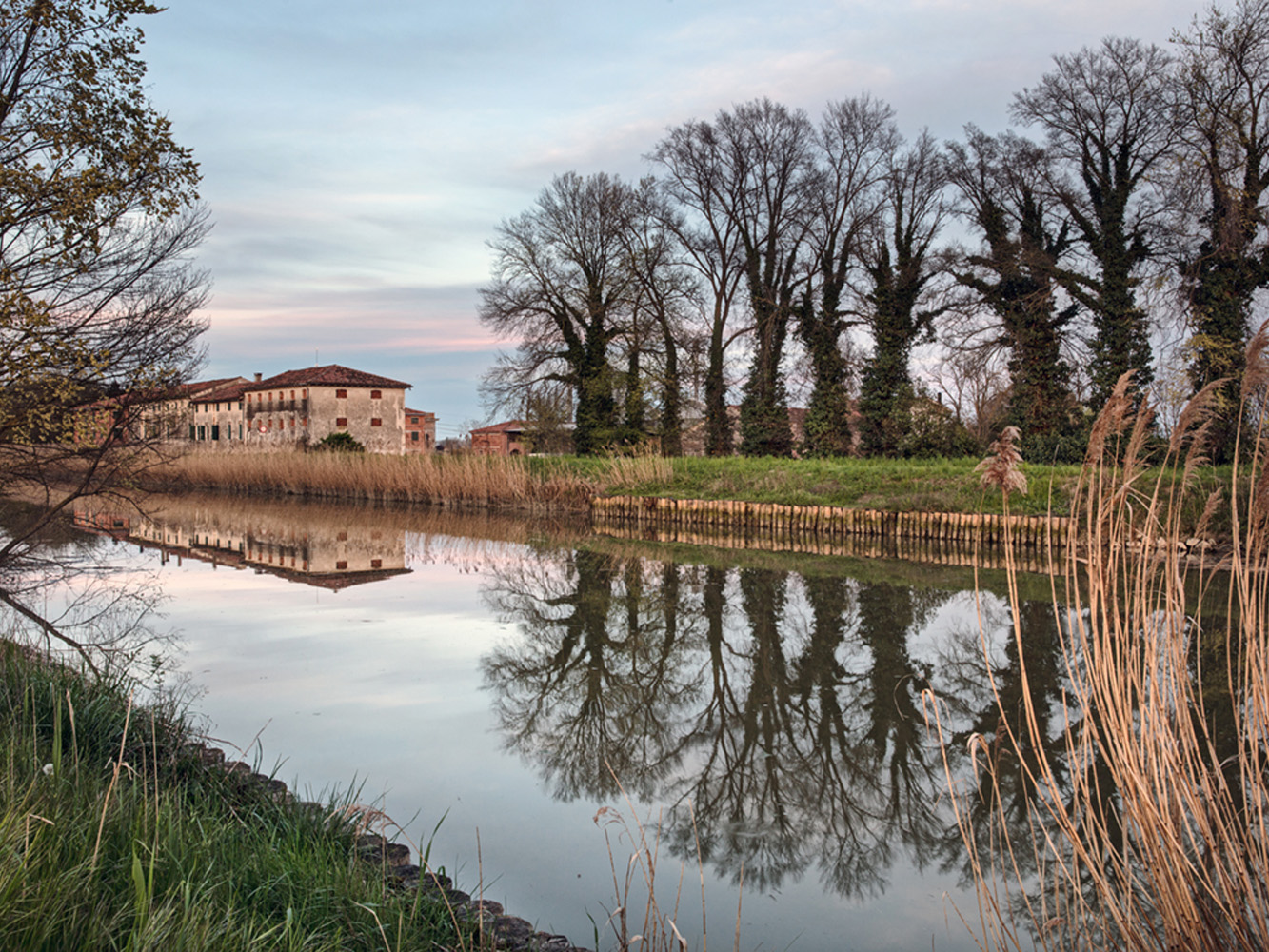 01Foto_Centenario-shop